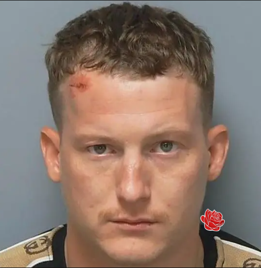 Profile image of Toby Lucas